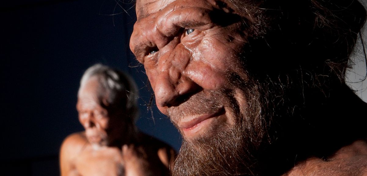 new research on neanderthals